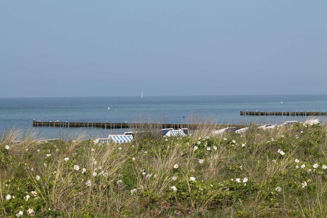 Am Leuchtturm Mit Meerbl * Kagsdorf
